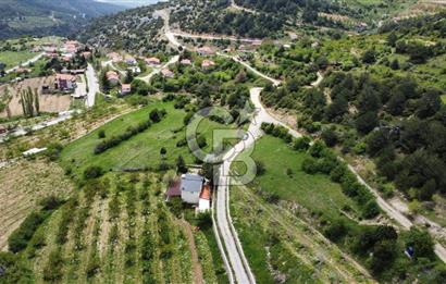 BEŞPINAR DA KÖY MERKEZİNDE TEK TAPU 12385 M2 EMSALSİZ SATILIK TARLA 