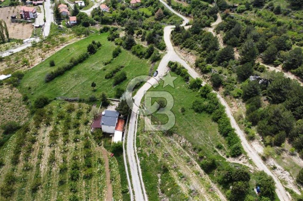 BEŞPINAR DA KÖY MERKEZİNDE TEK TAPU 12385 M2 EMSALSİZ SATILIK TARLA 
