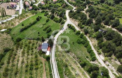 BEŞPINAR DA KÖY MERKEZİNDE TEK TAPU 12385 M2 EMSALSİZ SATILIK TARLA 