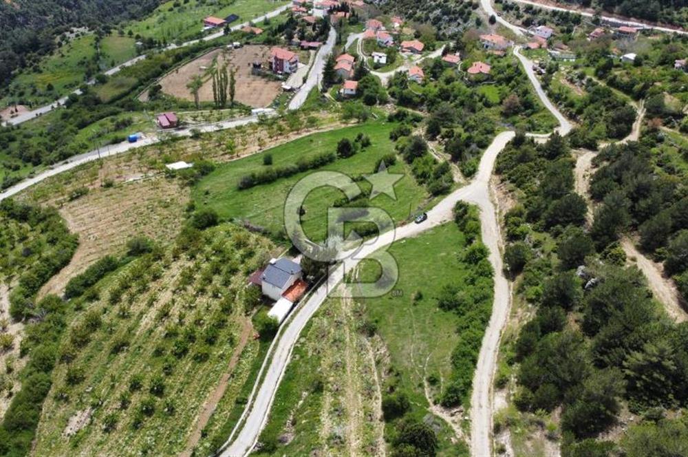BEŞPINAR DA KÖY MERKEZİNDE TEK TAPU 12385 M2 EMSALSİZ SATILIK TARLA 