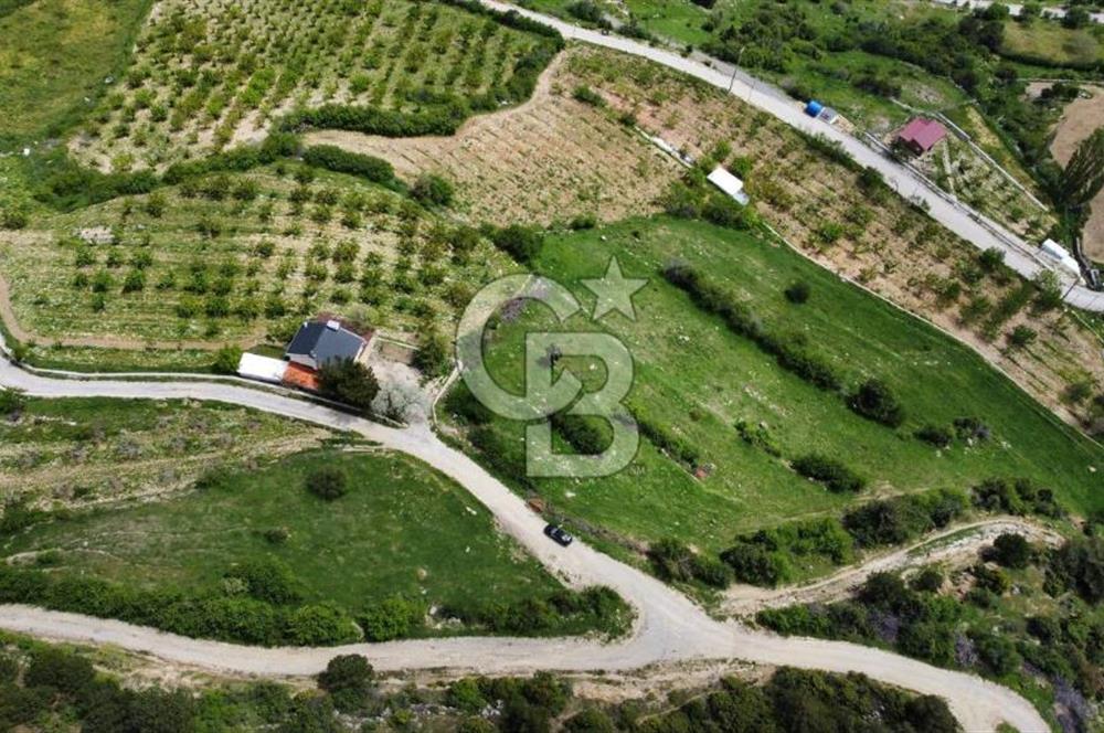 BEŞPINAR DA KÖY MERKEZİNDE TEK TAPU 12385 M2 EMSALSİZ SATILIK TARLA 