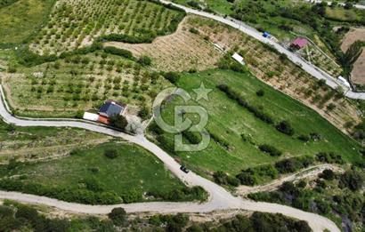 BEŞPINAR DA KÖY MERKEZİNDE TEK TAPU 12385 M2 EMSALSİZ SATILIK TARLA 