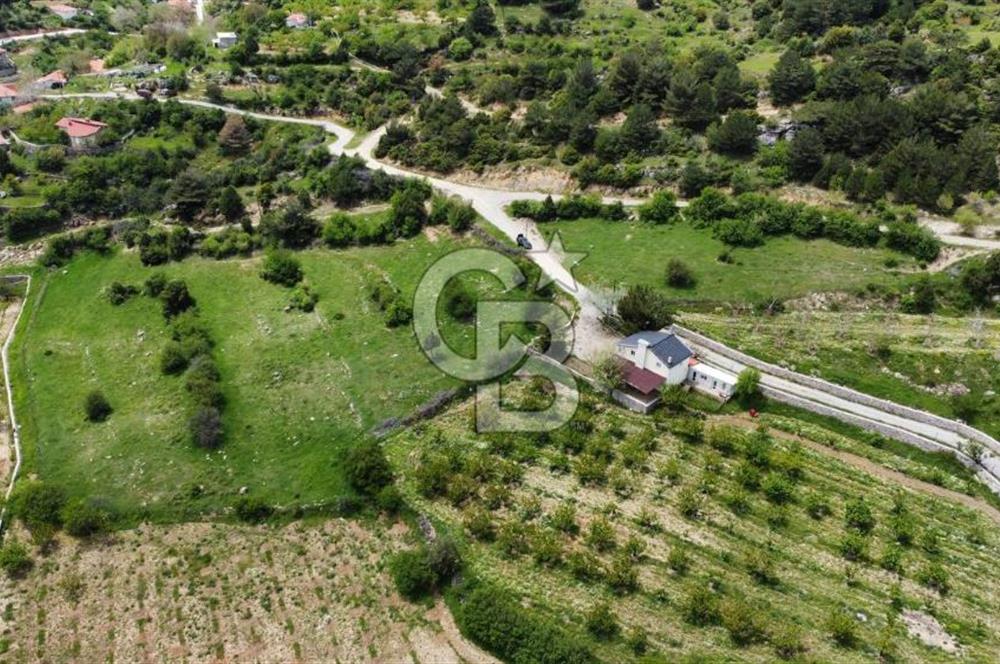 BEŞPINAR DA KÖY MERKEZİNDE TEK TAPU 12385 M2 EMSALSİZ SATILIK TARLA 