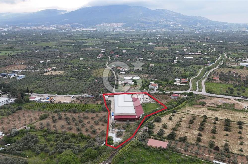 Kemalpaşa Aşağı Kızılca Yol Üzeri Satılık Fabrika&Üretim Tesisi