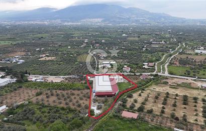 Kemalpaşa Aşağı Kızılca Yol Üzeri Satılık Fabrika&Üretim Tesisi