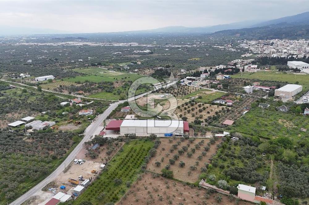 Kemalpaşa Aşağı Kızılca Yol Üzeri Satılık Fabrika&Üretim Tesisi