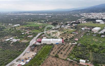 Kemalpaşa Aşağı Kızılca Yol Üzeri Satılık Fabrika&Üretim Tesisi