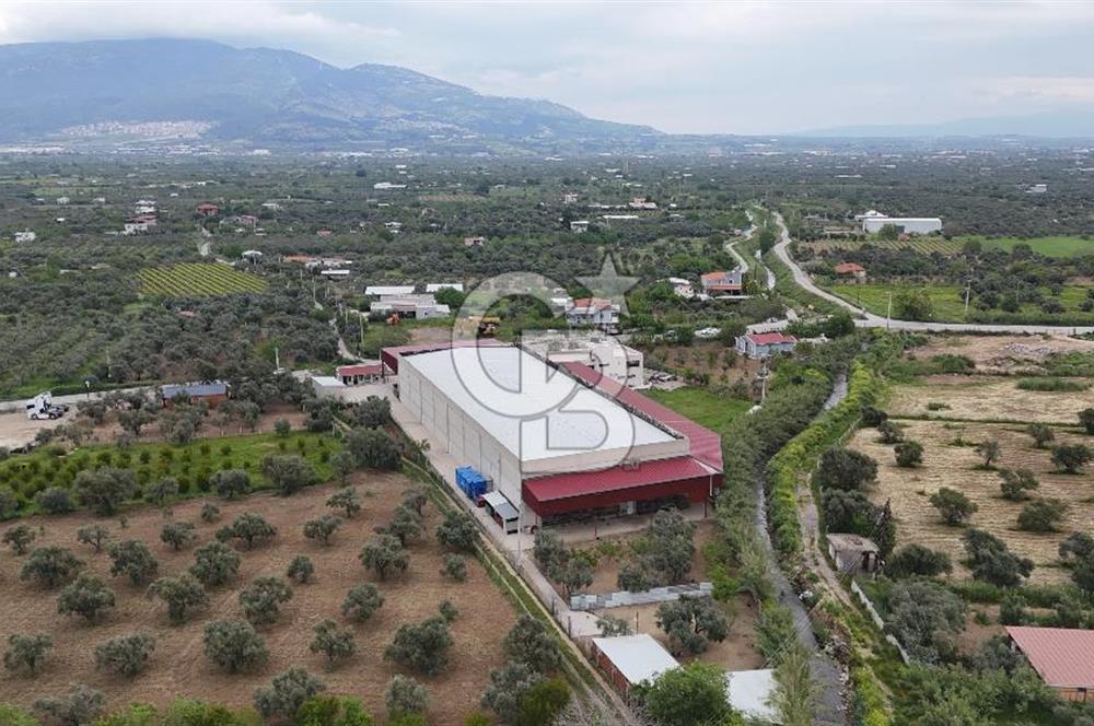 Kemalpaşa Aşağı Kızılca Yol Üzeri Satılık Fabrika&Üretim Tesisi