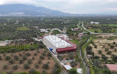 Kemalpaşa Aşağı Kızılca Yol Üzeri Satılık Fabrika&Üretim Tesisi