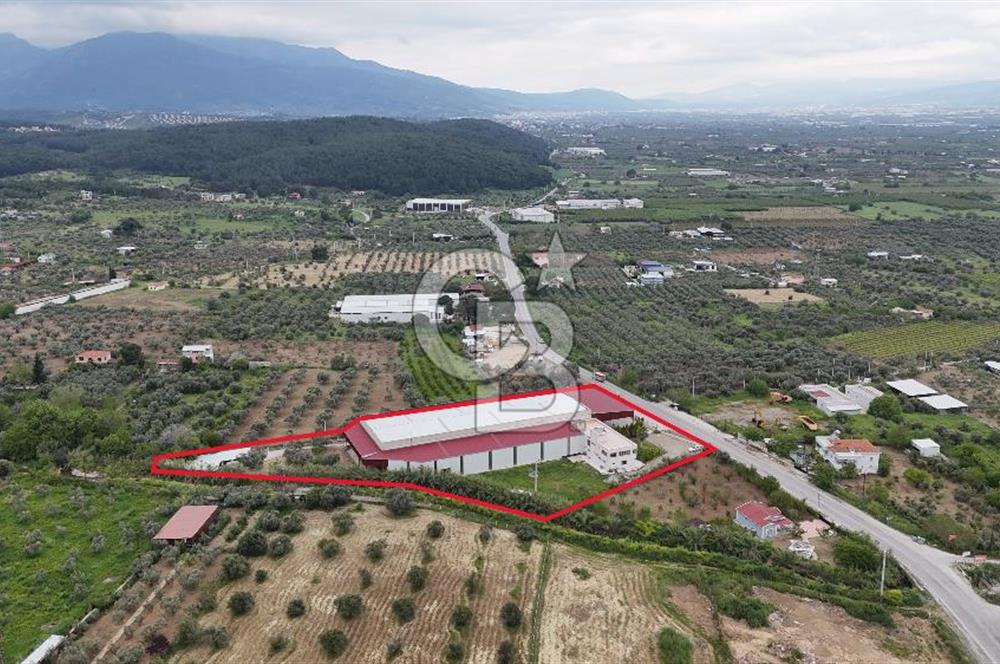 Kemalpaşa Aşağı Kızılca Yol Üzeri Satılık Fabrika&Üretim Tesisi
