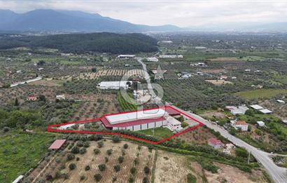 Kemalpaşa Aşağı Kızılca Yol Üzeri Satılık Fabrika&Üretim Tesisi