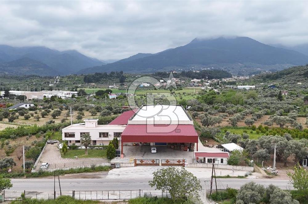 Kemalpaşa Aşağı Kızılca Yol Üzeri Satılık Fabrika&Üretim Tesisi