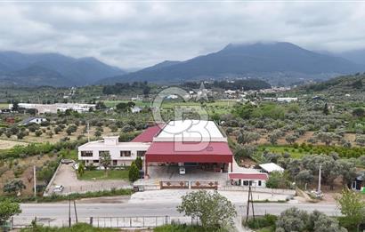 Kemalpaşa Aşağı Kızılca Yol Üzeri Satılık Fabrika&Üretim Tesisi