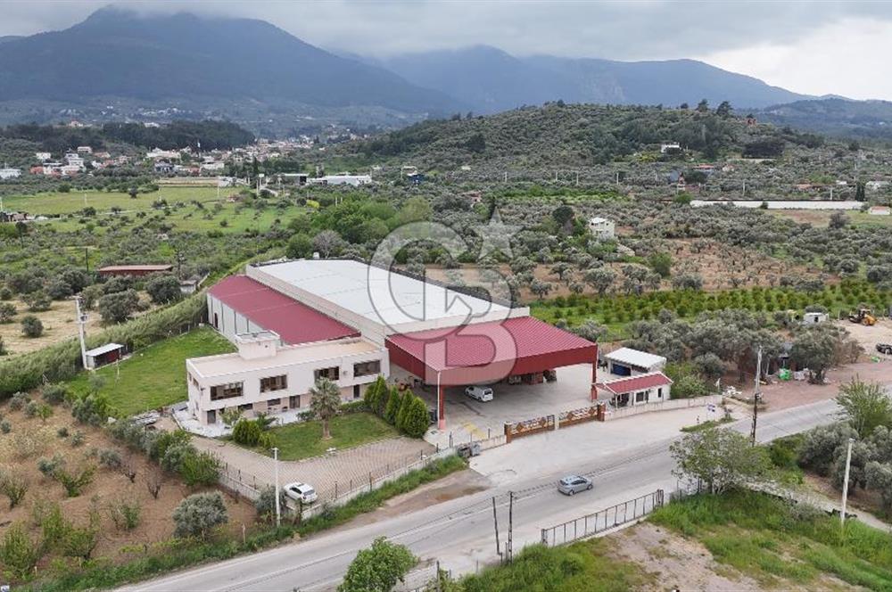 Kemalpaşa Aşağı Kızılca Yol Üzeri Satılık Fabrika&Üretim Tesisi