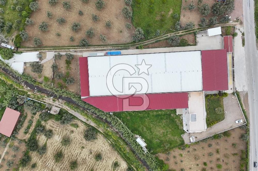 Kemalpaşa Aşağı Kızılca Yol Üzeri Satılık Fabrika&Üretim Tesisi