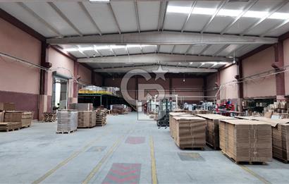 Kemalpaşa Aşağı Kızılca Yol Üzeri Satılık Fabrika&Üretim Tesisi