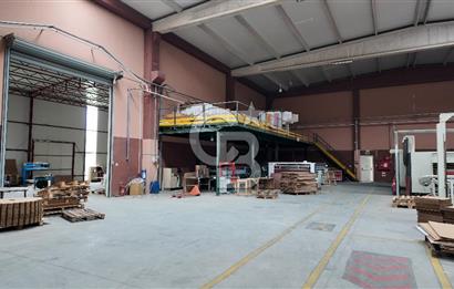 Kemalpaşa Aşağı Kızılca Yol Üzeri Satılık Fabrika&Üretim Tesisi