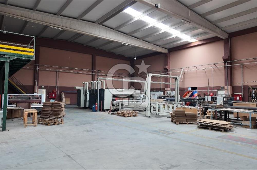 Kemalpaşa Aşağı Kızılca Yol Üzeri Satılık Fabrika&Üretim Tesisi