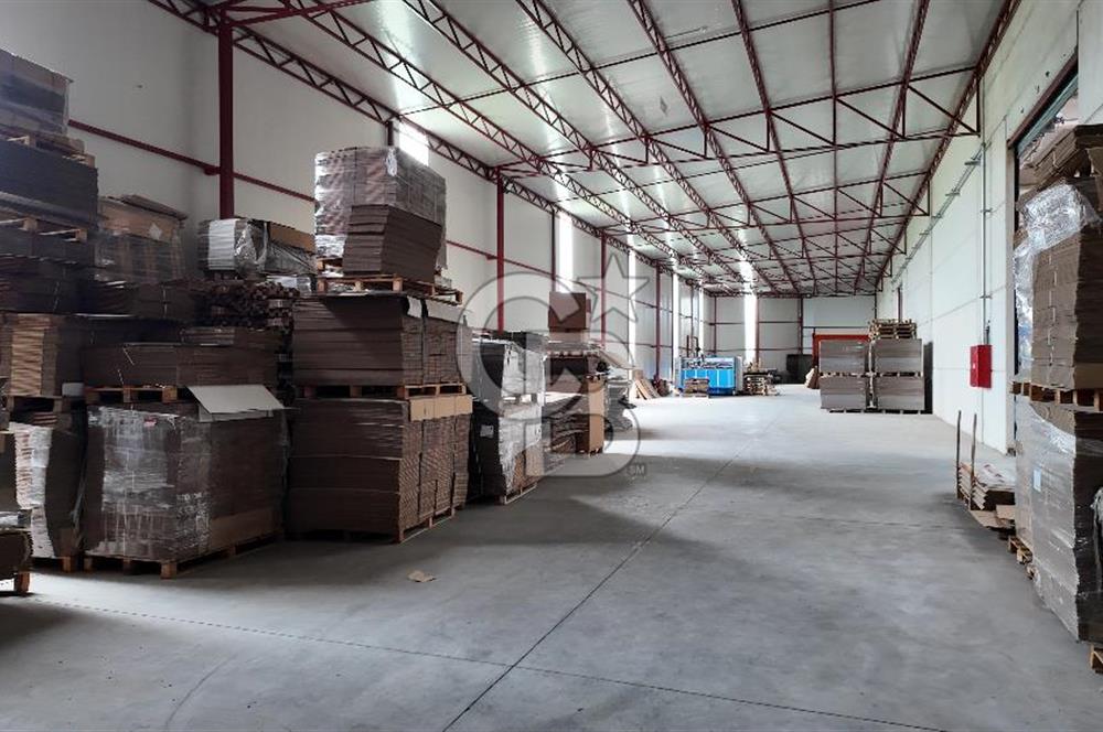 Kemalpaşa Aşağı Kızılca Yol Üzeri Satılık Fabrika&Üretim Tesisi