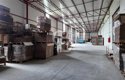 Kemalpaşa Aşağı Kızılca Yol Üzeri Satılık Fabrika&Üretim Tesisi