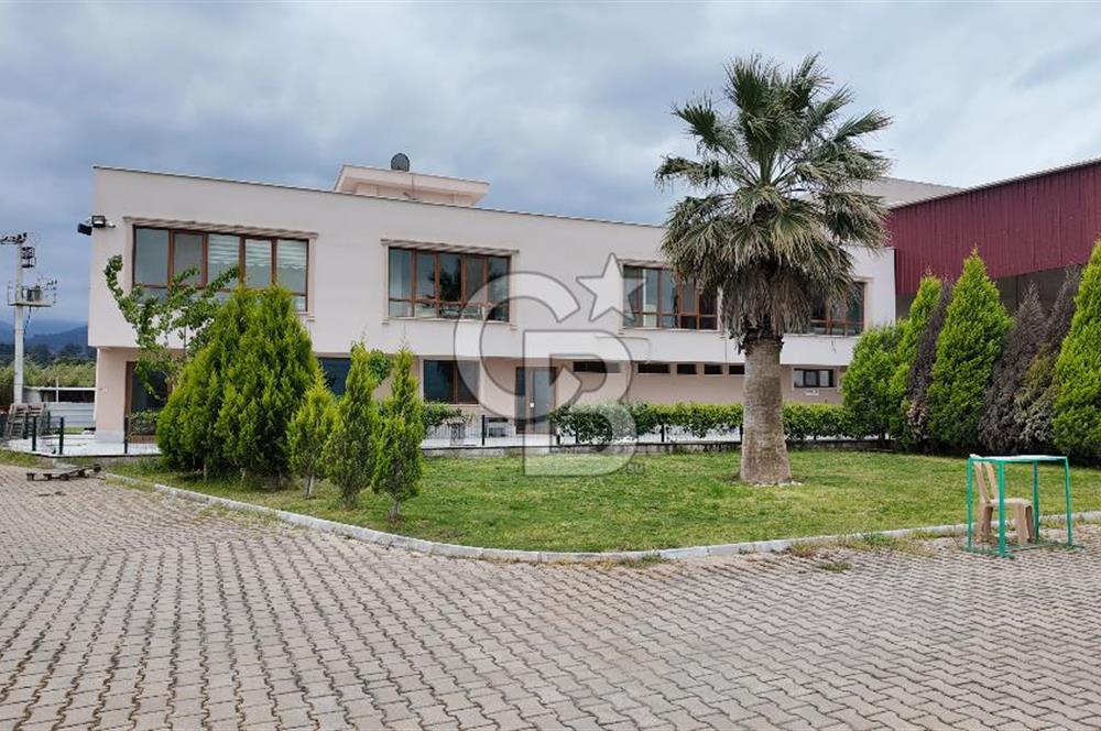 Kemalpaşa Aşağı Kızılca Yol Üzeri Satılık Fabrika&Üretim Tesisi