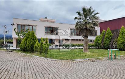 Kemalpaşa Aşağı Kızılca Yol Üzeri Satılık Fabrika&Üretim Tesisi
