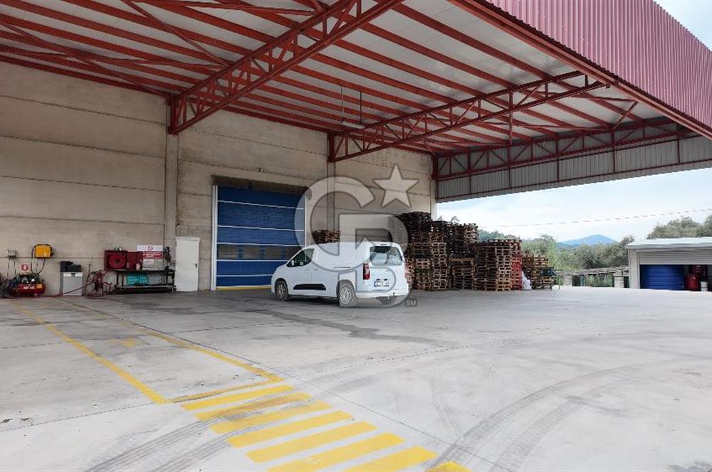 Kemalpaşa Aşağı Kızılca Yol Üzeri Satılık Fabrika&Üretim Tesisi