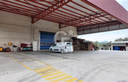 Kemalpaşa Aşağı Kızılca Yol Üzeri Satılık Fabrika&Üretim Tesisi