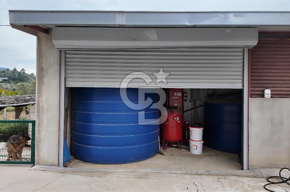 Kemalpaşa Aşağı Kızılca Yol Üzeri Satılık Fabrika&Üretim Tesisi
