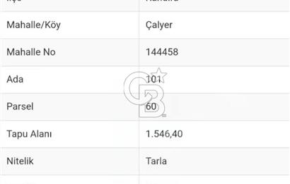 Kandıra Çalyer Mahallesi'nde 1.546 m2 Satılık Tarla