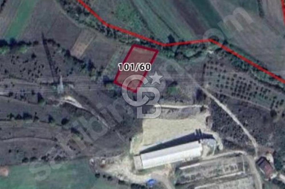 Kandıra Çalyer Mahallesi'nde 1.546 m2 Satılık Tarla