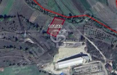 Kandıra Çalyer Mahallesi'nde 1.546 m2 Satılık Tarla