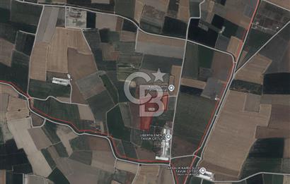 TORBALI ARSLANLAR KÖYÜNDE SATILIK 4 DÖNÜM TARLA