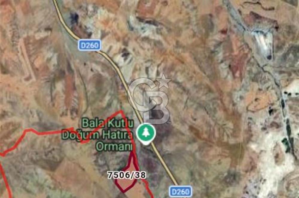 ANKARA BALA GÖZTEPEDE YATIRIMLIK BÜYÜK PARSEL TARLA