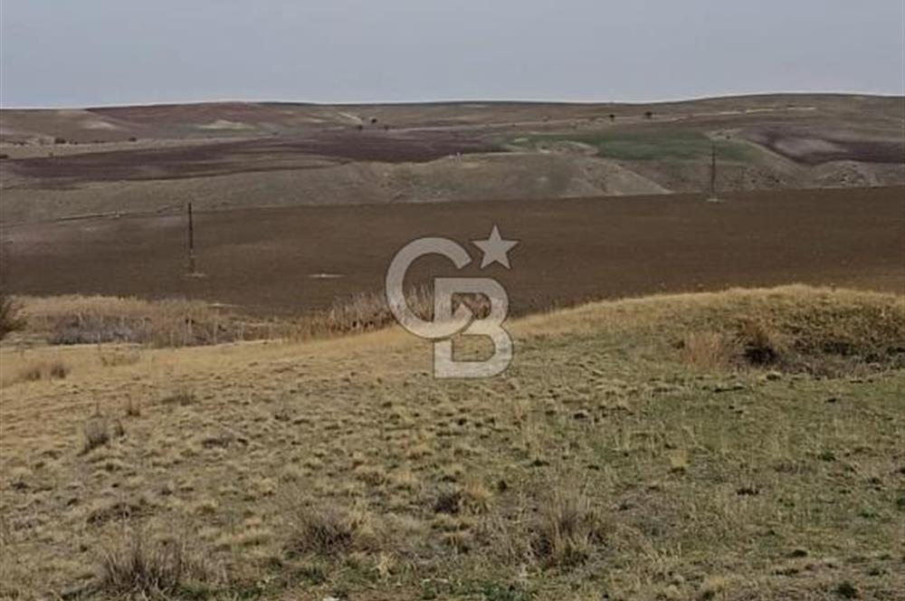 ANKARA BALA GÖZTEPEDE YATIRIMLIK BÜYÜK PARSEL TARLA