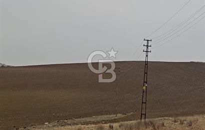 ANKARA BALA GÖZTEPEDE YATIRIMLIK BÜYÜK PARSEL TARLA