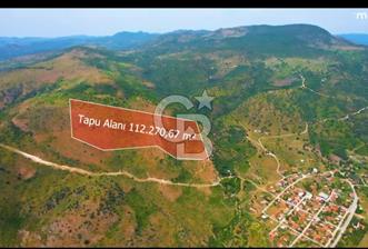 MY LAND YAPI KOOPERATİFİNDE DİKİLİ MAZILI KIROBADA 1000 M2 TARLA - 3 - 349765
