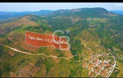 MY LAND YAPI KOOPERATİFİNDE DİKİLİ MAZILI KIROBADA 1000 M2 TARLA