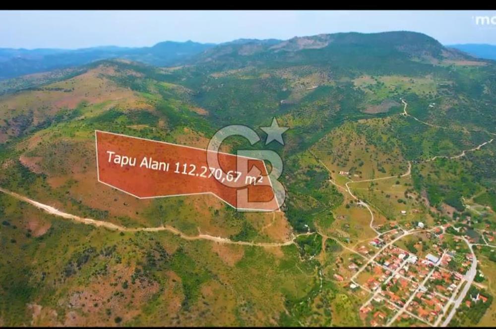MY LAND YAPI KOOPERATİFİNDE DİKİLİ MAZILI KIROBADA 1000 M2 TARLA