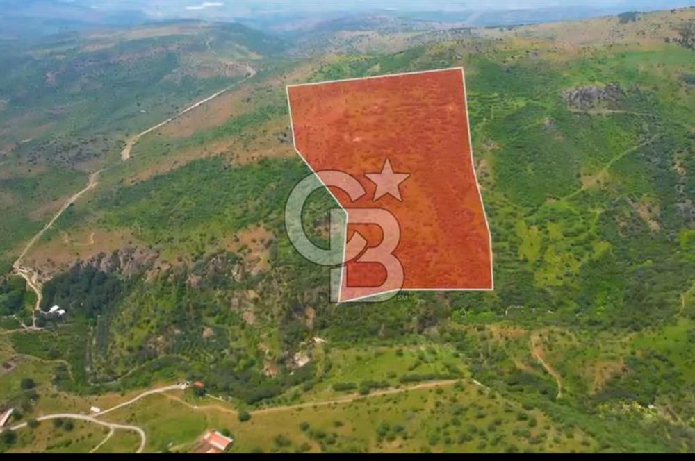 MY LAND YAPI KOOPERATİFİNDE DİKİLİ MAZILI KIROBADA 1000 M2 TARLA