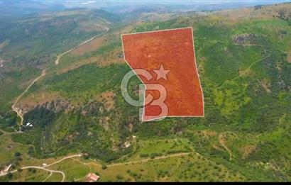MY LAND YAPI KOOPERATİFİNDE DİKİLİ MAZILI KIROBADA 1000 M2 TARLA