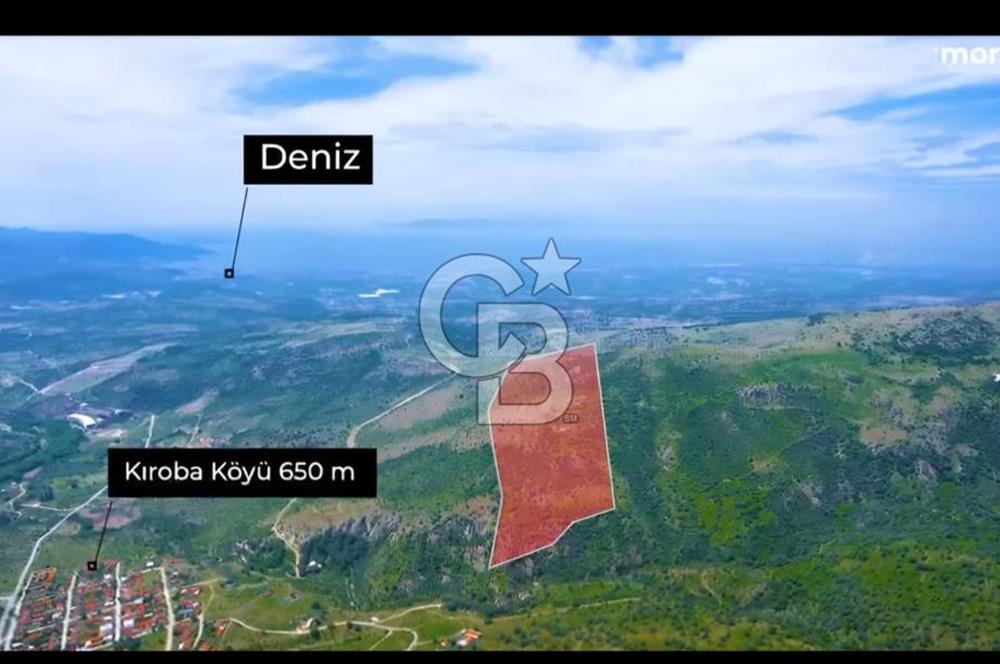 MY LAND YAPI KOOPERATİFİNDE DİKİLİ MAZILI KIROBADA 1000 M2 TARLA