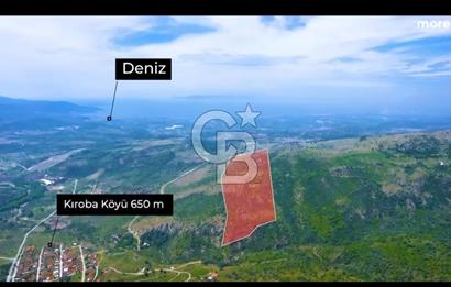 MY LAND YAPI KOOPERATİFİNDE DİKİLİ MAZILI KIROBADA 1000 M2 TARLA