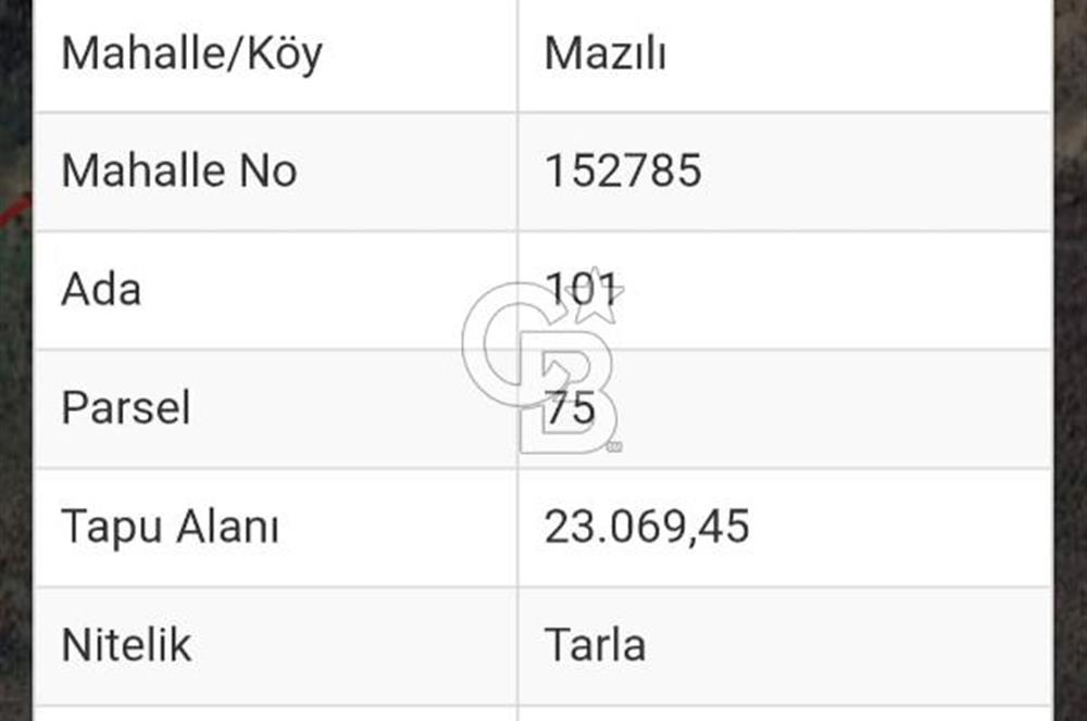 DİKİLİ MAZILIDA 500 m² KOOPERATİF HİSSESİ DENİZE YAKIN YATIRIM