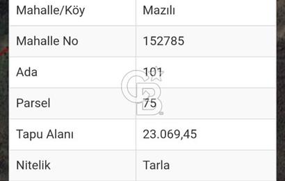 DİKİLİ MAZILIDA 500 m² KOOPERATİF HİSSESİ DENİZE YAKIN YATIRIM