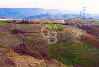 KOCAELİ KANDIRA TOPLUCA SATILIK 2431 m2 DEĞERLİ ARAZİ - 1 - 349867