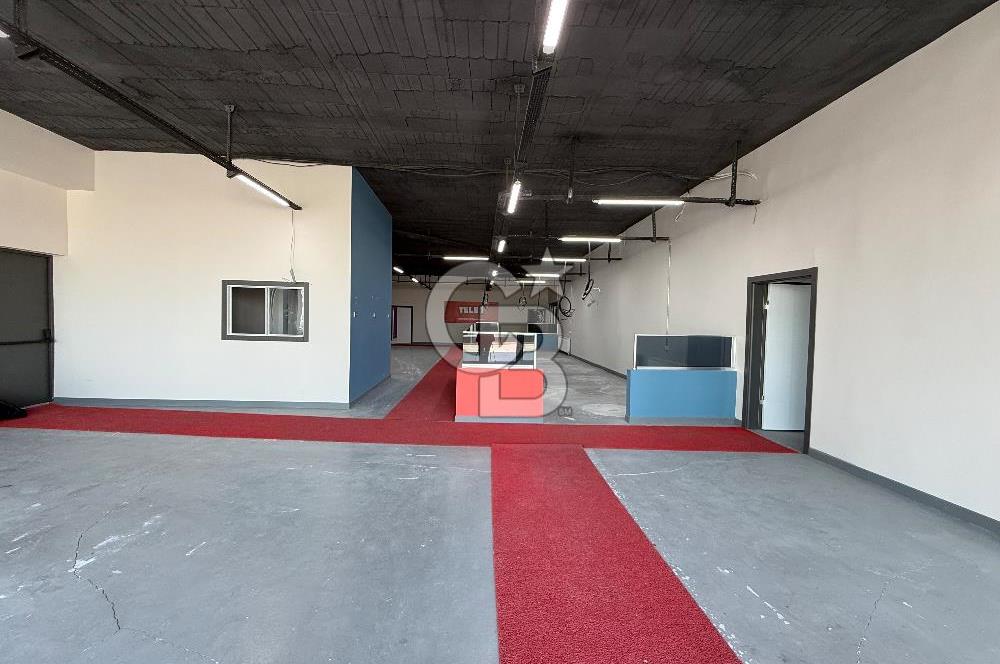 GOP KOZA CADDEDE 824m2 HAZIR STÜDYOLU TERASLI KURUMSAL KİRALIK