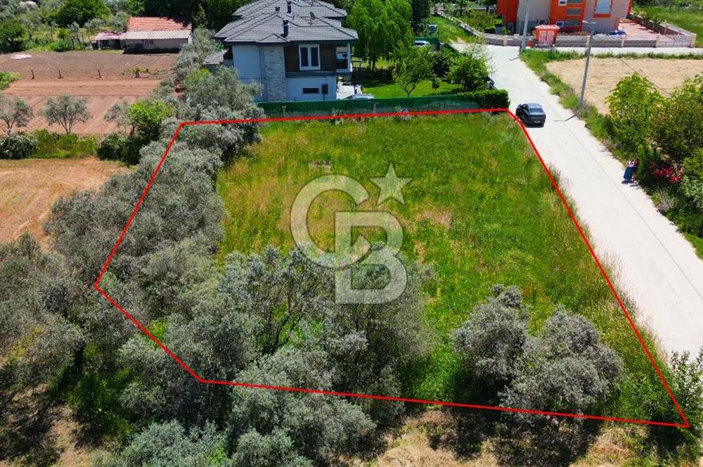Muğla Menteşe Ortaköy’de Satılık Arsa