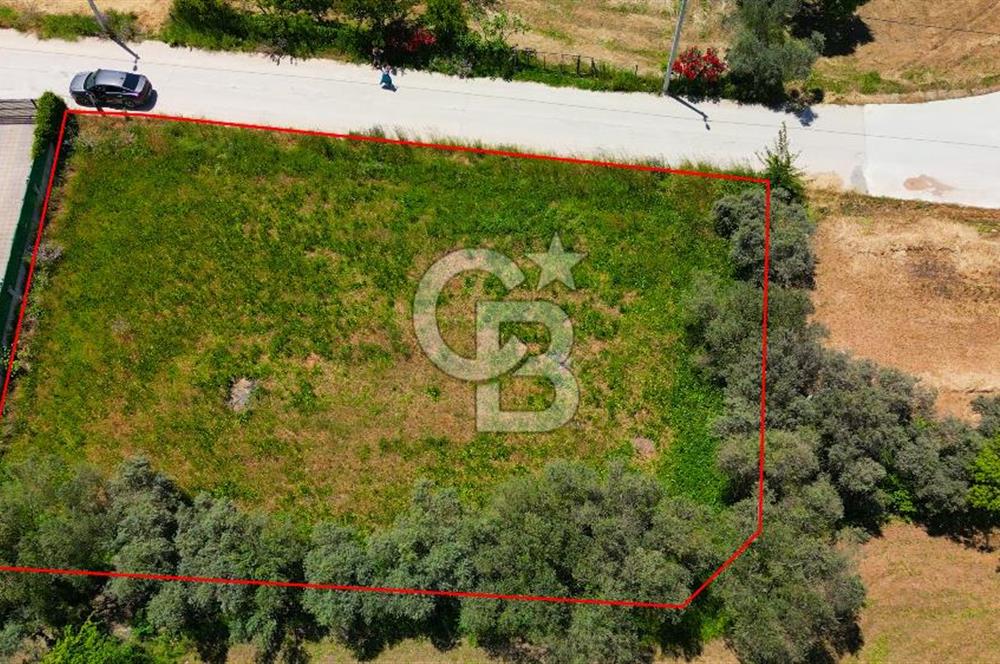 Muğla Menteşe Ortaköy’de Satılık Arsa