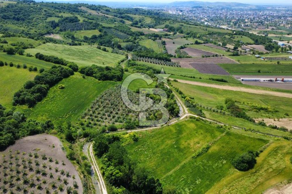 Bursa Mustafakemalpaşa Keltaş’ta Yola Cepheli 2926 m² Satılık Yatırımlık Tarla